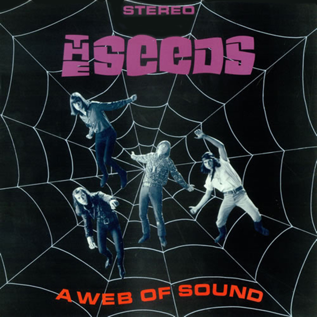 the-seeds-a-web-of-sound-4903502.jpg