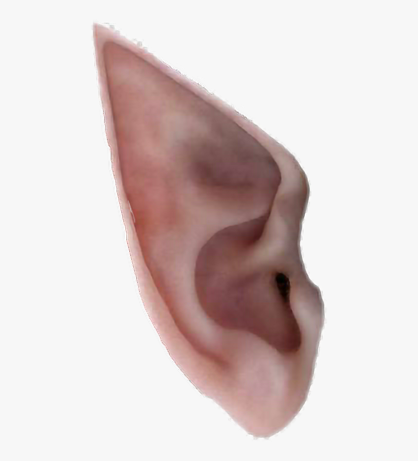 282-2820620_elf-ears-transparent-elf-ear-png-png-download.png