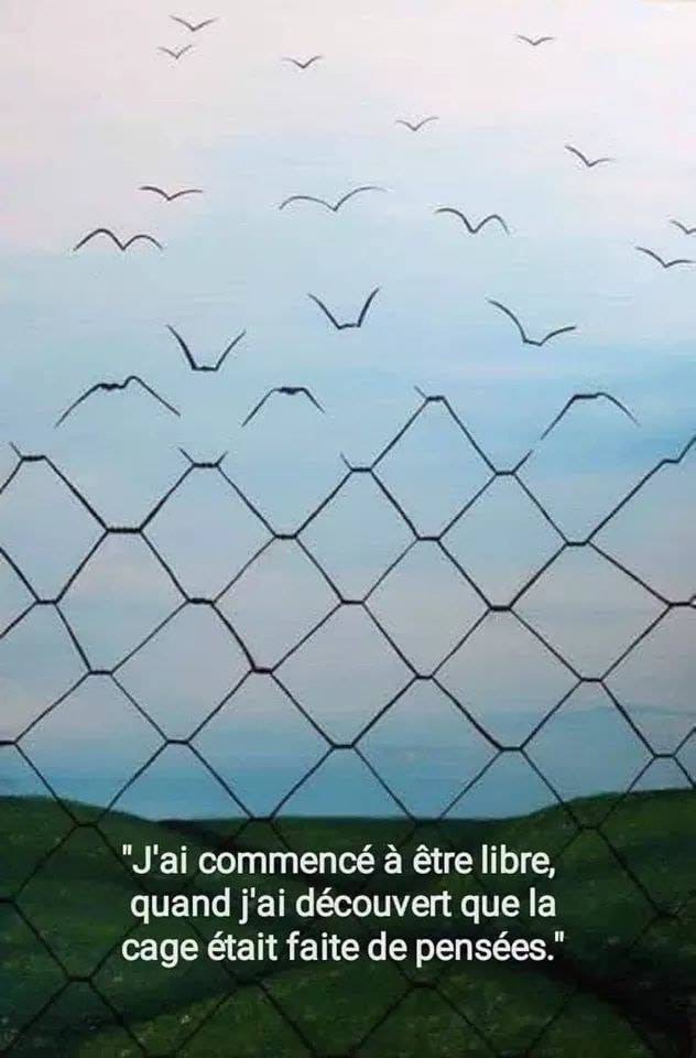 etre libre.jpg