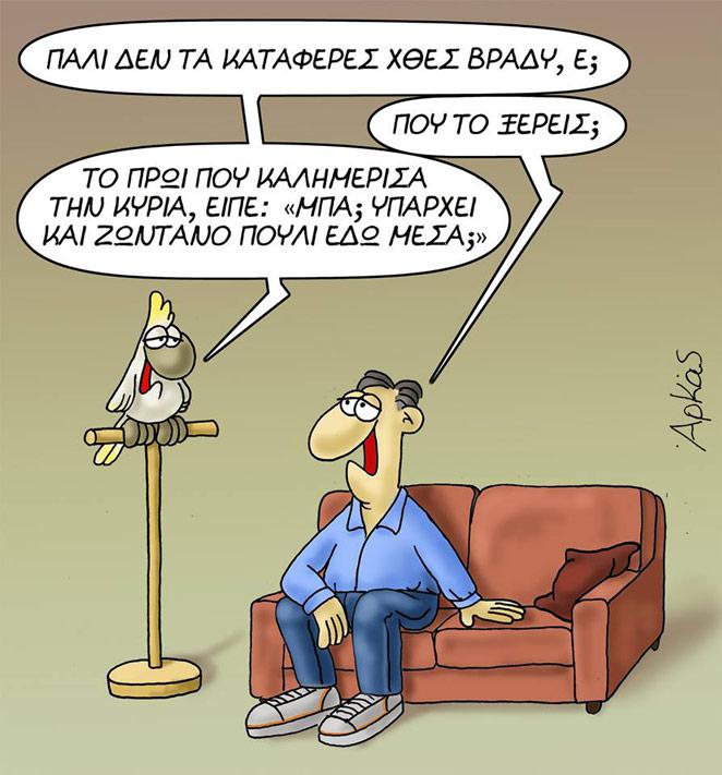 arkas-poyli.jpg