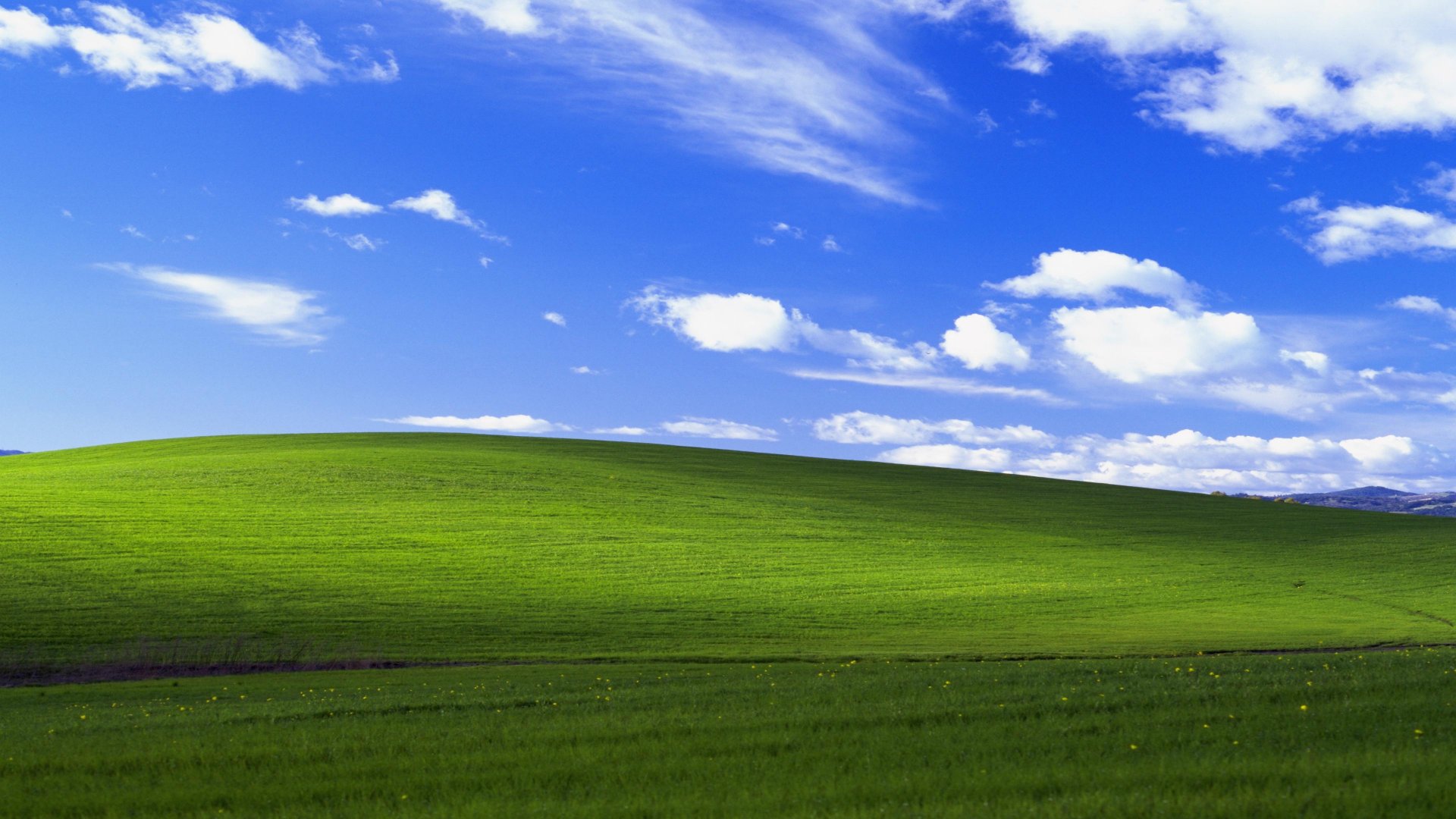 windows-xp-bliss-4k-lu-3840x2160.jpg