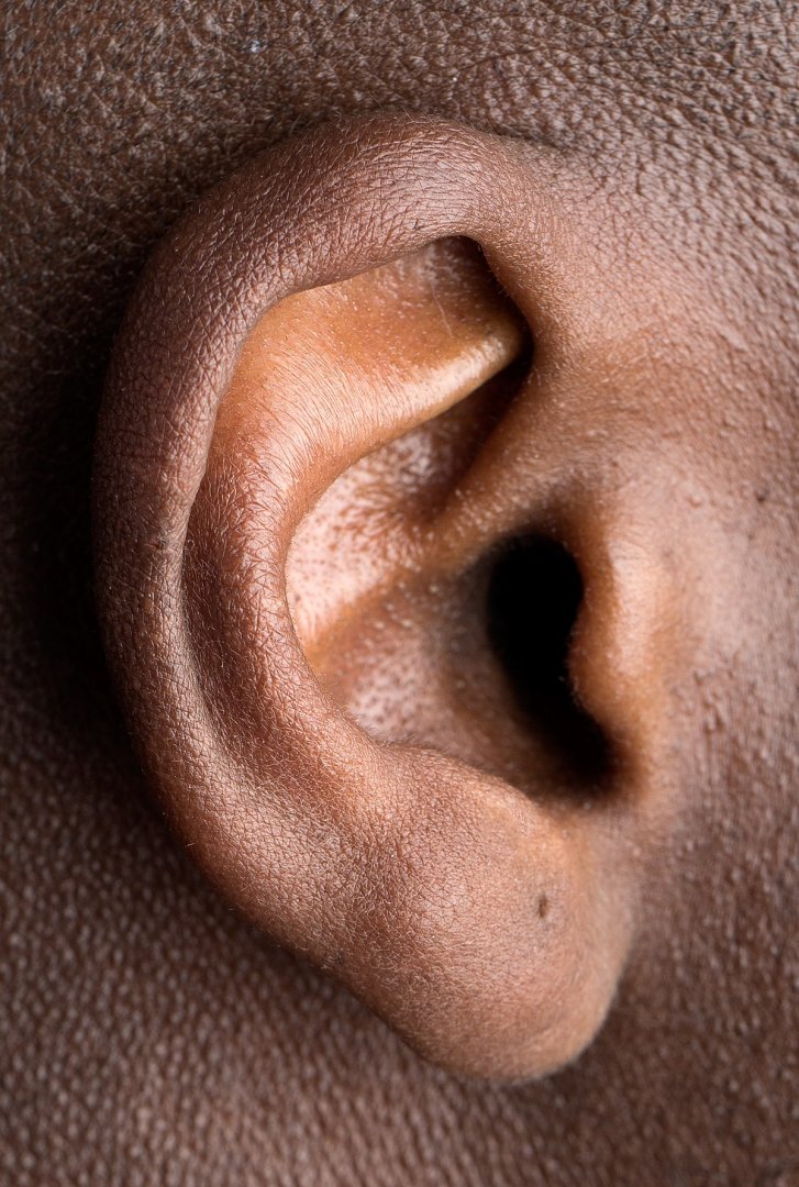 Human_right_ear_(cropped).jpg