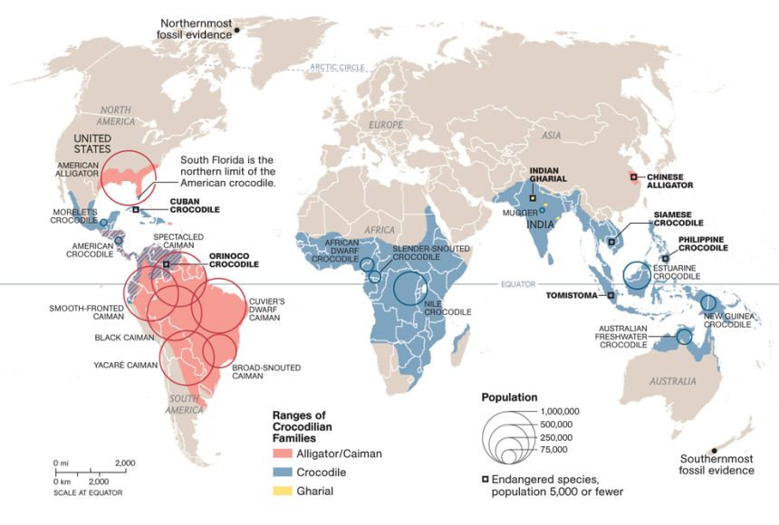 crocodilian-species-range.jpg