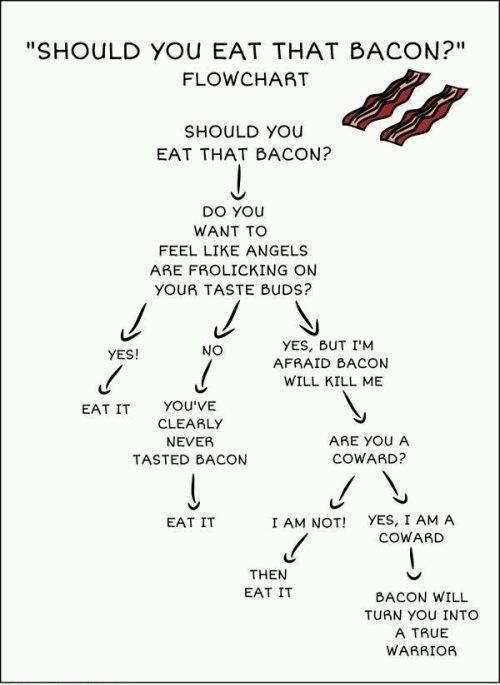 bacon true warrior.jpg