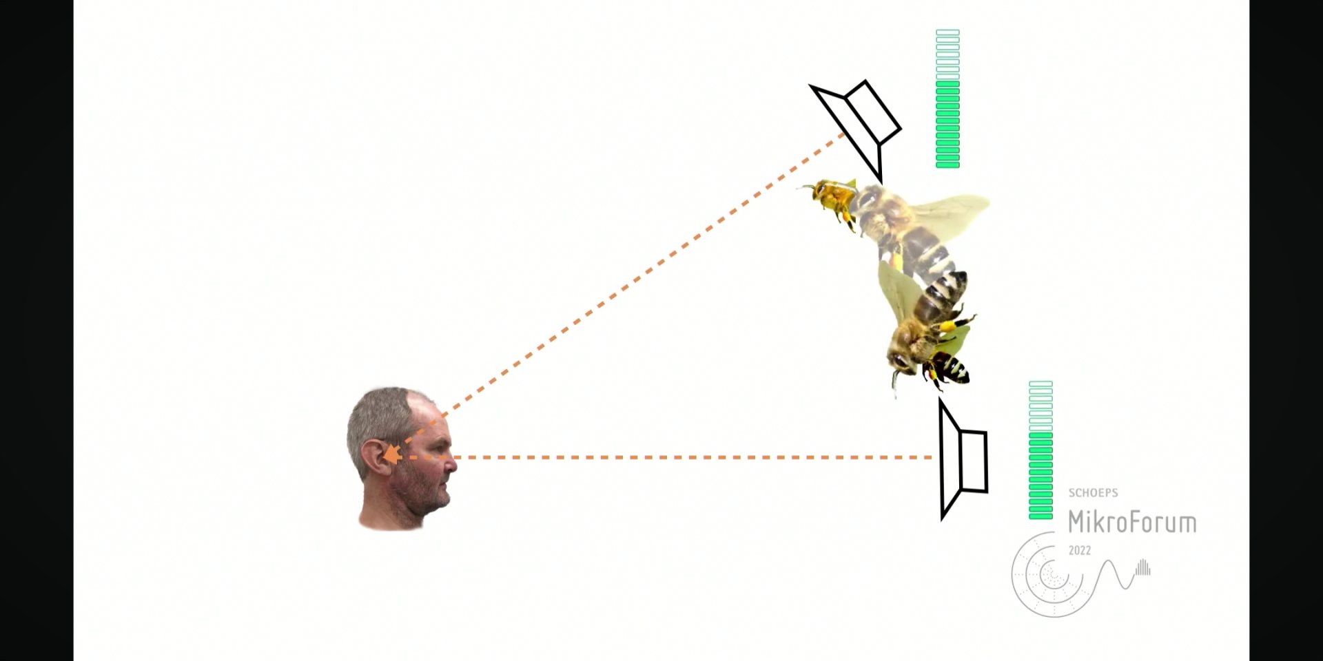 bee.jpg