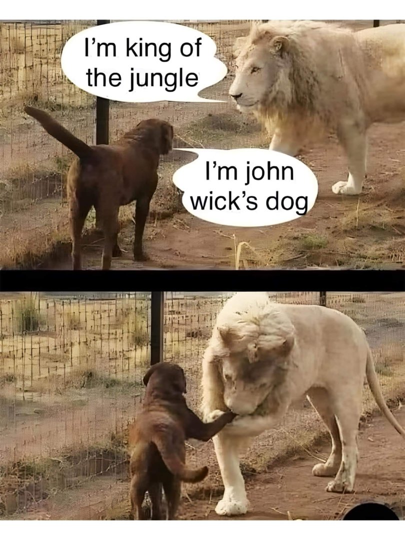 JWdog.jpg