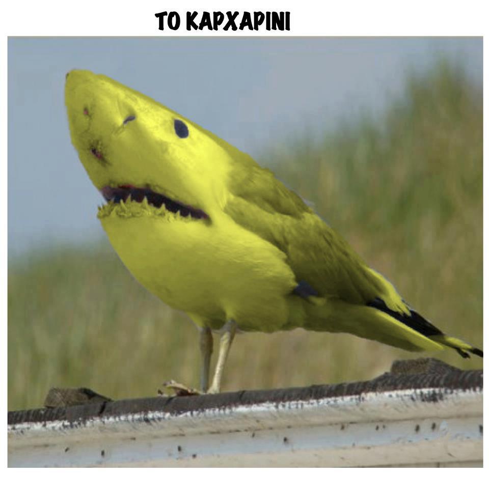 to-karxarini.jpg