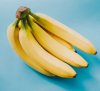 Bananas-218094b-scaled.jpg