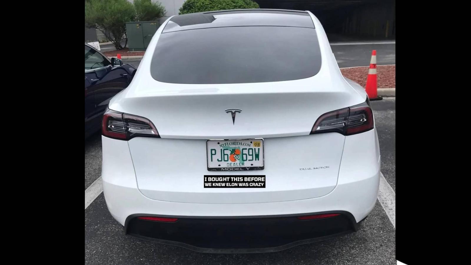 anti elon musk sticker (1).jpg