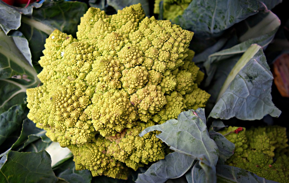 roman-cauliflower-1522873_960_720.jpg