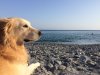 IMG_6306.jpeg