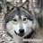 wolf_2002