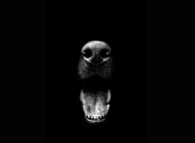 Mejores fotografía en blanco y negro
