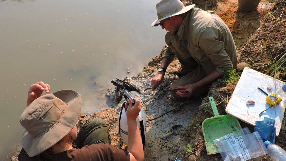 Professor Larry Barham (pictured, right) uncovering the wooden structure on the banks of the river