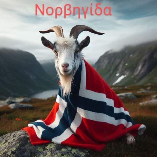 Μπορεί να είναι εικόνα κείμενο που λέει Νορβηγίδα