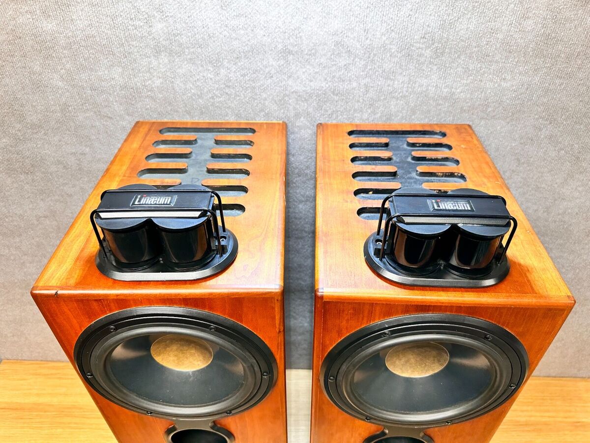 Linaeum Model 10 Speakers (pair)