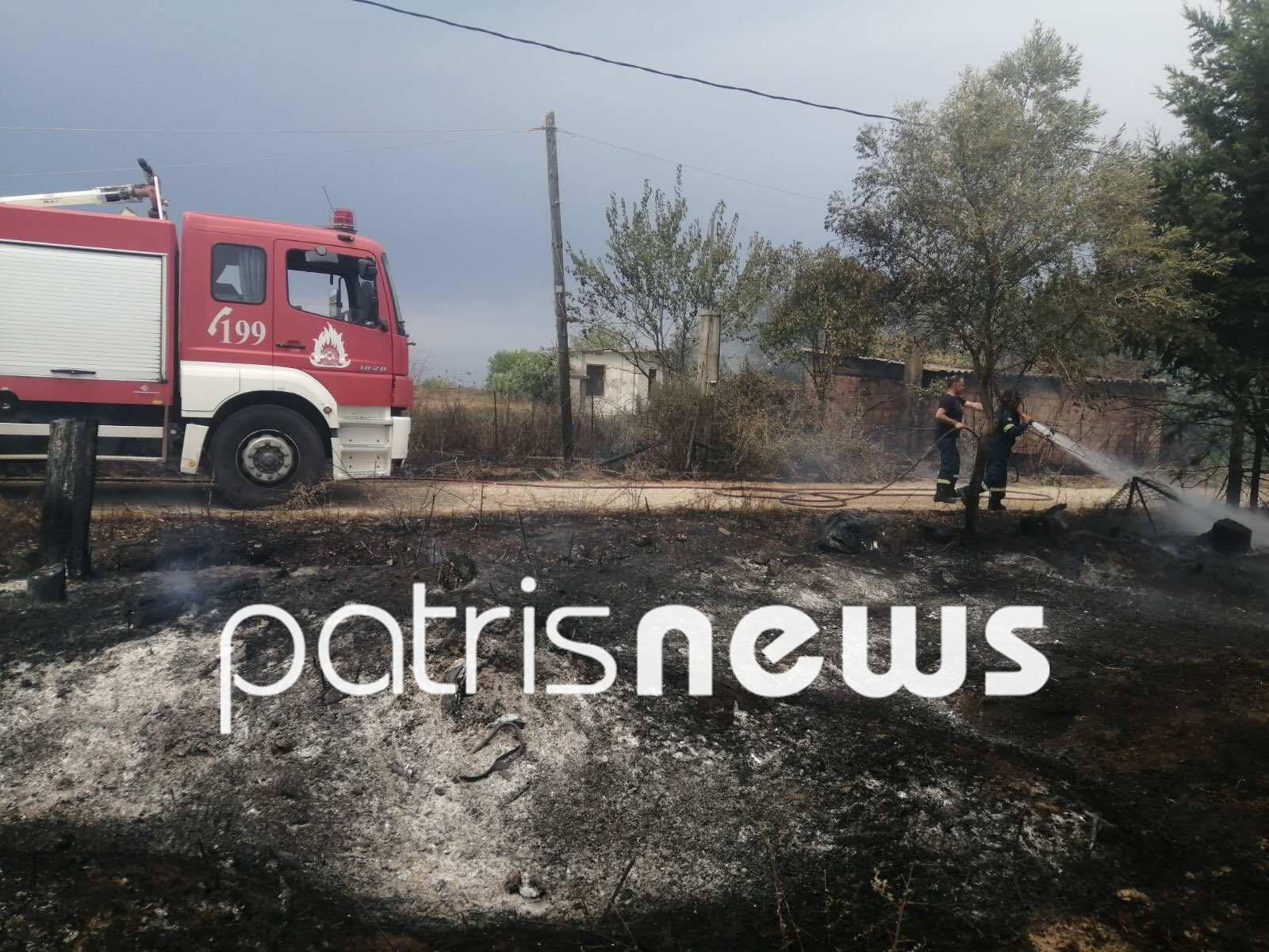 www.patrisnews.com