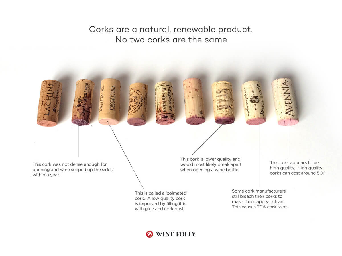 winefolly.com