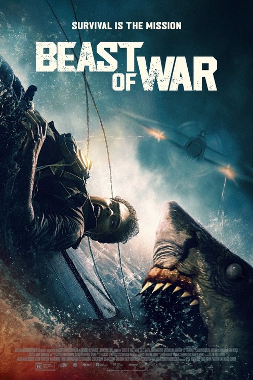 www.themoviedb.org
