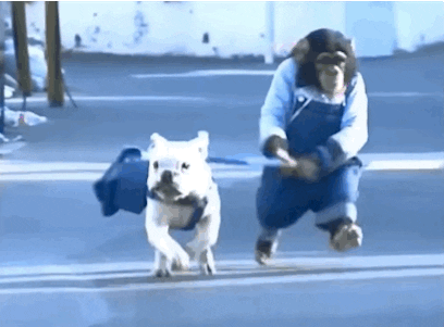 Dog GIF