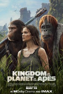 www.rottentomatoes.com